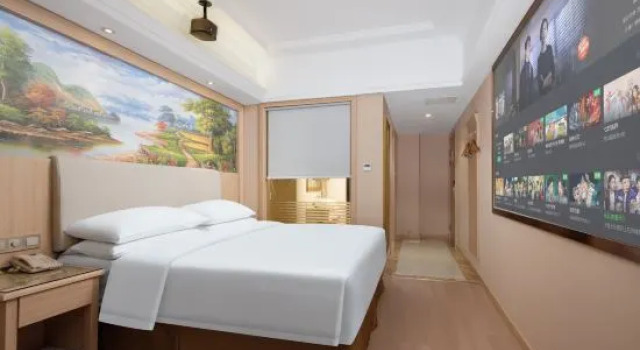 Двухместный номер Standard Vienna Hotel (Yingcheng Railway Station Haishan)