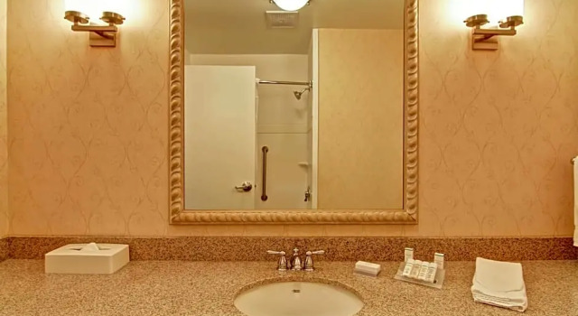 Номер Premium Hilton Garden Inn Ottawa Airport