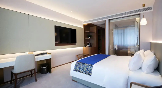 Одноместный номер Business с видом на город Southern Airlines Pearl Hotel