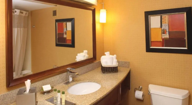 Junior suite DoubleTree by Hilton Jackson
