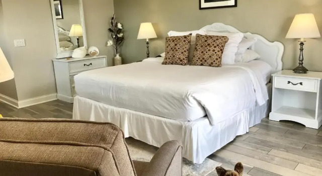 Двухместный номер Standard Kennys Tipperary Inn