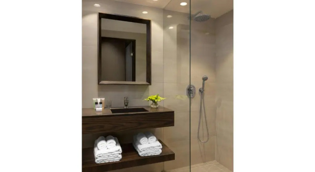 Двухместный номер Business Golden Crown Haifa