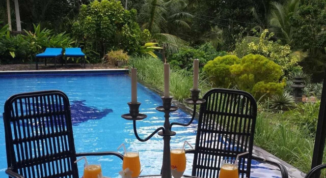 Lazy Lizard Hotel