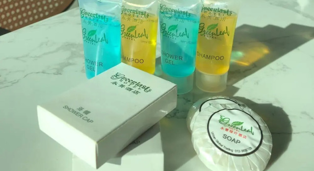 Одноместный полулюкс Greenlast Hotel