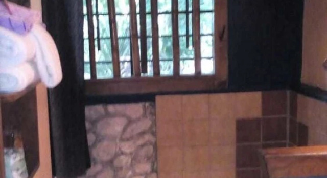 Whistling Bird Resort