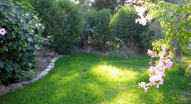 Коттедж с 2 комнатами Finca Esmeralda