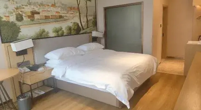 Люкс Vienna Hotel