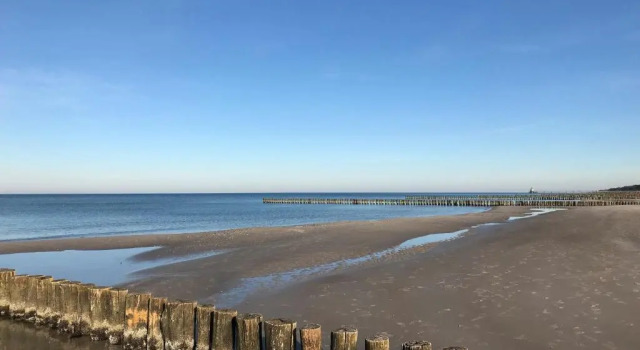 Апартаменты Villa Deichgraf -Fewo Zingst