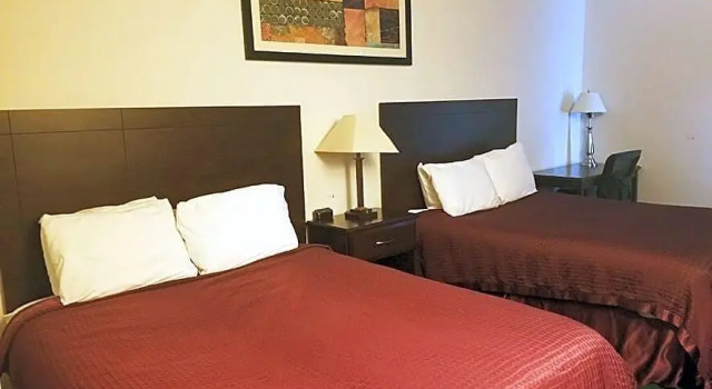 Кровать в общем номере Bellis Inn
