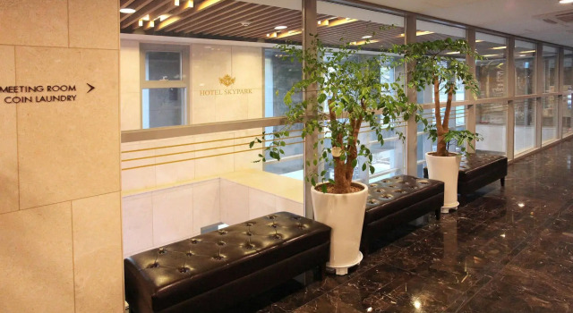 Hotel Skypark Dongdaemun 1