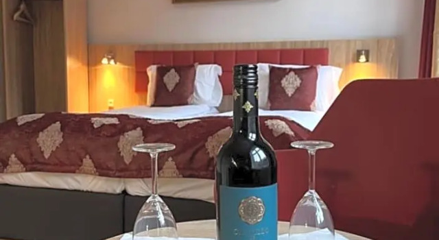 Номер Standard Hotel Skandia