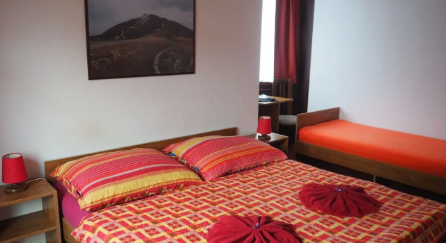 Номер Classic Pension Borůvka