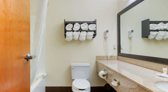 Двухместный люкс Comfort Suites Stevensville - St Joseph