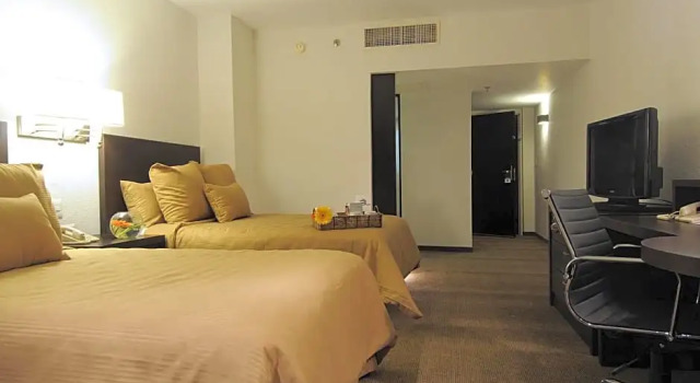 Одноместный номер Economy Hotel Misión Torreón