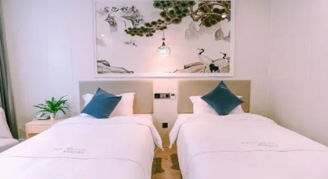 Люкс Superior Qingmu Hotel
