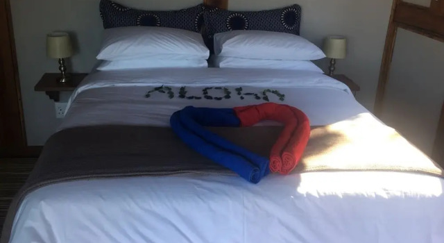 Aloha 18