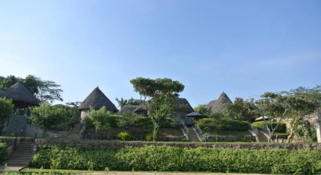 Номер Standard Nyati Hill Cottages