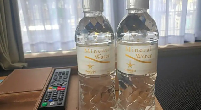 Номер Deluxe Candeo Hotels Kobe Tor Road
