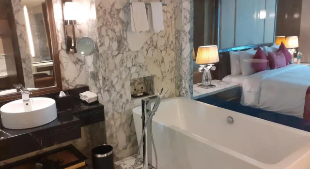 Двухместный люкс Radisson Blu Jaipur