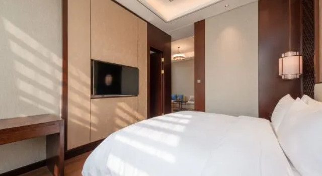 Executive- suite Begonia Hotel