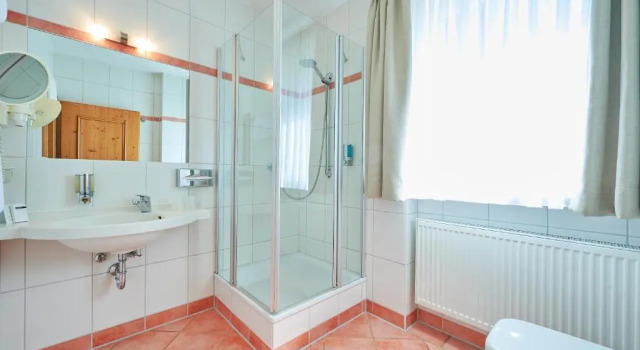 Двухместный номер Economy Hotel am See