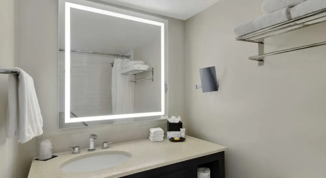 Двухместный номер Standard с балконом и с видом на город Hotel Tampa Riverwalk