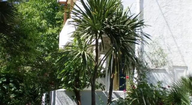 Irini Studios