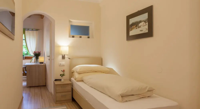 Одноместный номер Standard Hotel Pass Lueg