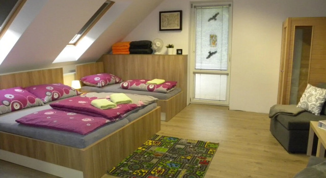 Апартаменты Standard c 1 комнатой с балконом Apartment WELLNESS Vlčková