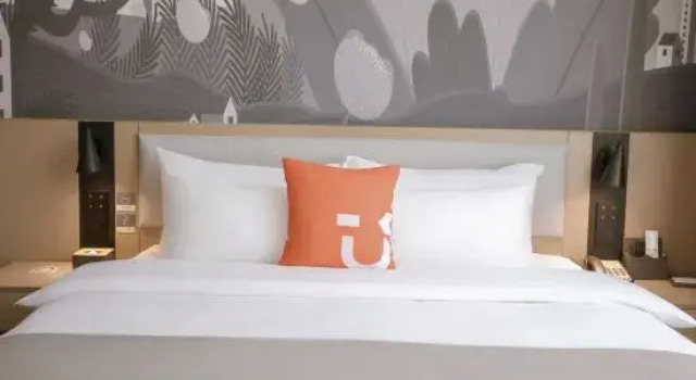 Люкс Business Shankee Hotel (Zhoukou Renmin Road Wuyi Square Hotel)