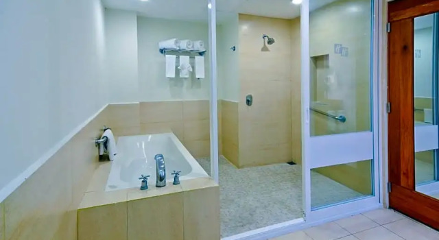 Двухместный люкс Holiday Inn Irapuato