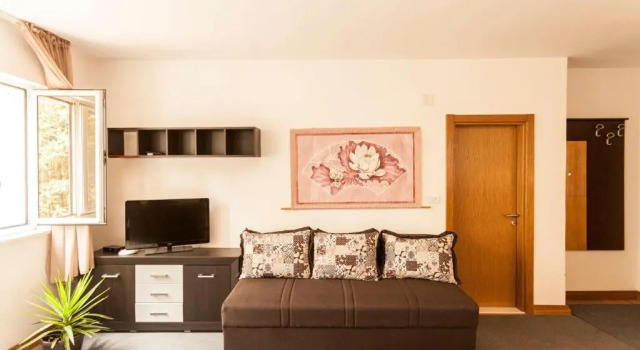 Студия Apartment-Hotel Vila Petrovic-Becici