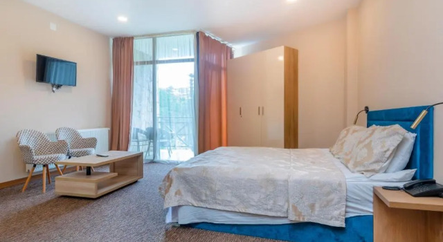 Двухместный номер Standard Terrace Borjomi Hotel