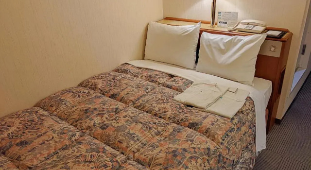 Номер Economy Ace Inn Kariya