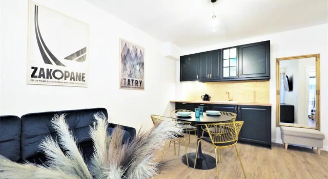 Апартаменты c 1 комнатой VIP Apartamenty Modrzejewska Residence