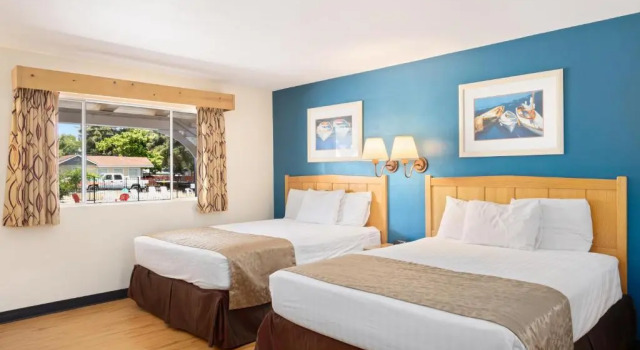 Четырёхместный номер Standard с видом на бассейн Skylark Shores Resort