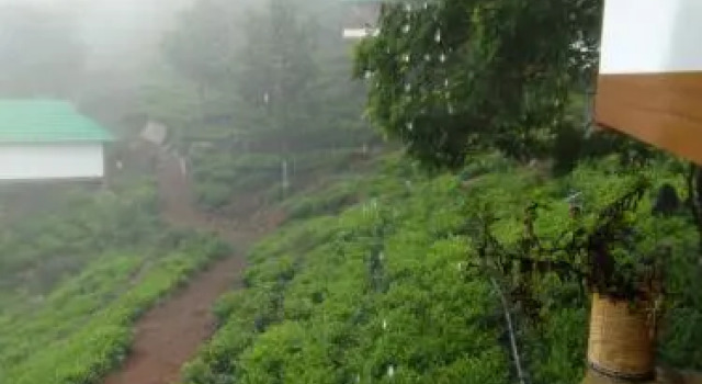 Vythirihills Nature Resort, Забронировать Курортный отель Отели штата Кералы с парковкой, Парковка