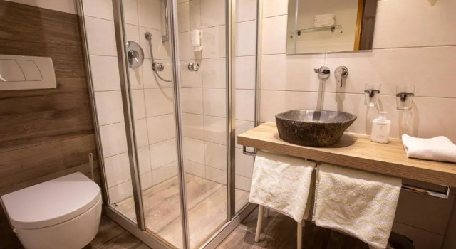 Номер Standard Hotel Restaurant Grüner Baum und Altes Tor