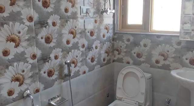 Номер Deluxe Silver Inn Hotel