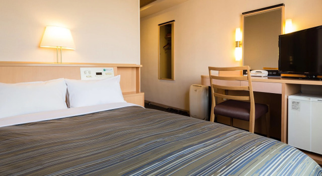 Одноместный номер Standard Himeji Castle Grandvrio Hotel