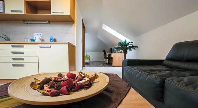 Апартаменты Мансарда Hotel Garzon Plaza