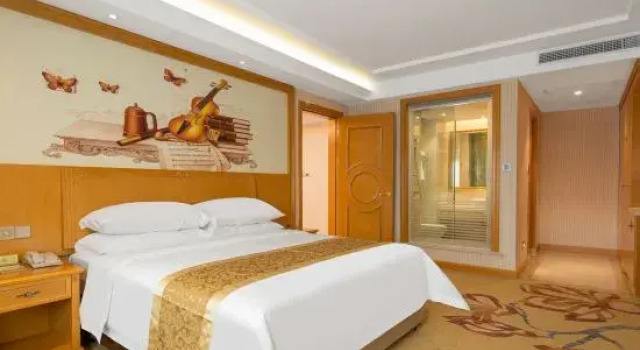 Люкс Deluxe Vienna Hotel (Guangzhou Zengcheng Wanda Plaza Metro Station Branch)
