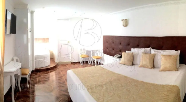 Люкс Hotel Boutique Feria Internacional