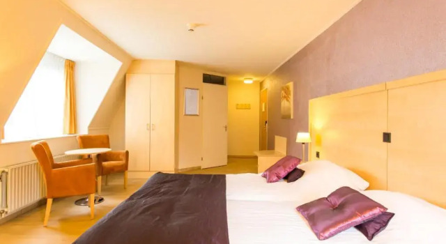 Двухместный номер Standard Brinkhotel