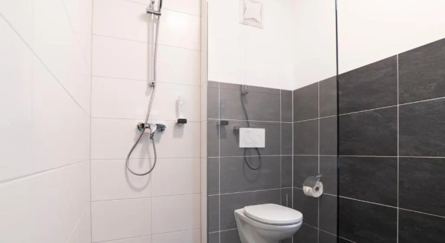Апартаменты Superior Alpenhotel & Aparthotel Lanz