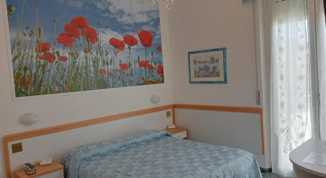 Двухместный номер Deluxe с балконом Hotel Rosa Meublé