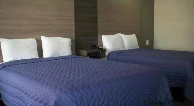 Четырёхместный номер Standard Scottish Inn and Suites Beaumont