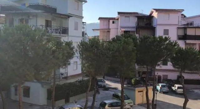 Apartment from Elena