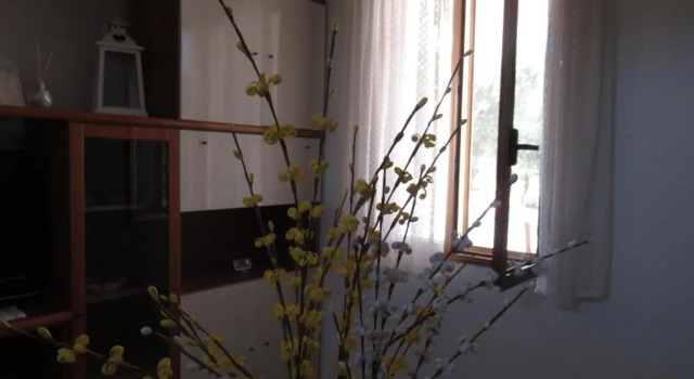 Casa Ale & Vinci, Buchen Sie Hotel Monopoli Metropolitanstadt Bari