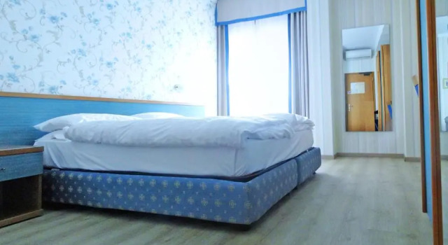 Двухместный номер Standard с балконом и с видом на озеро Hotel Sole - Limone